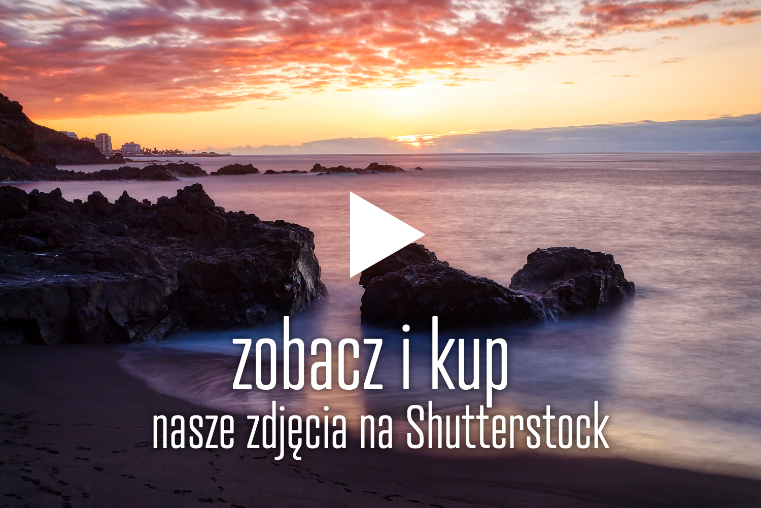 zdj臋cia Shutterstock